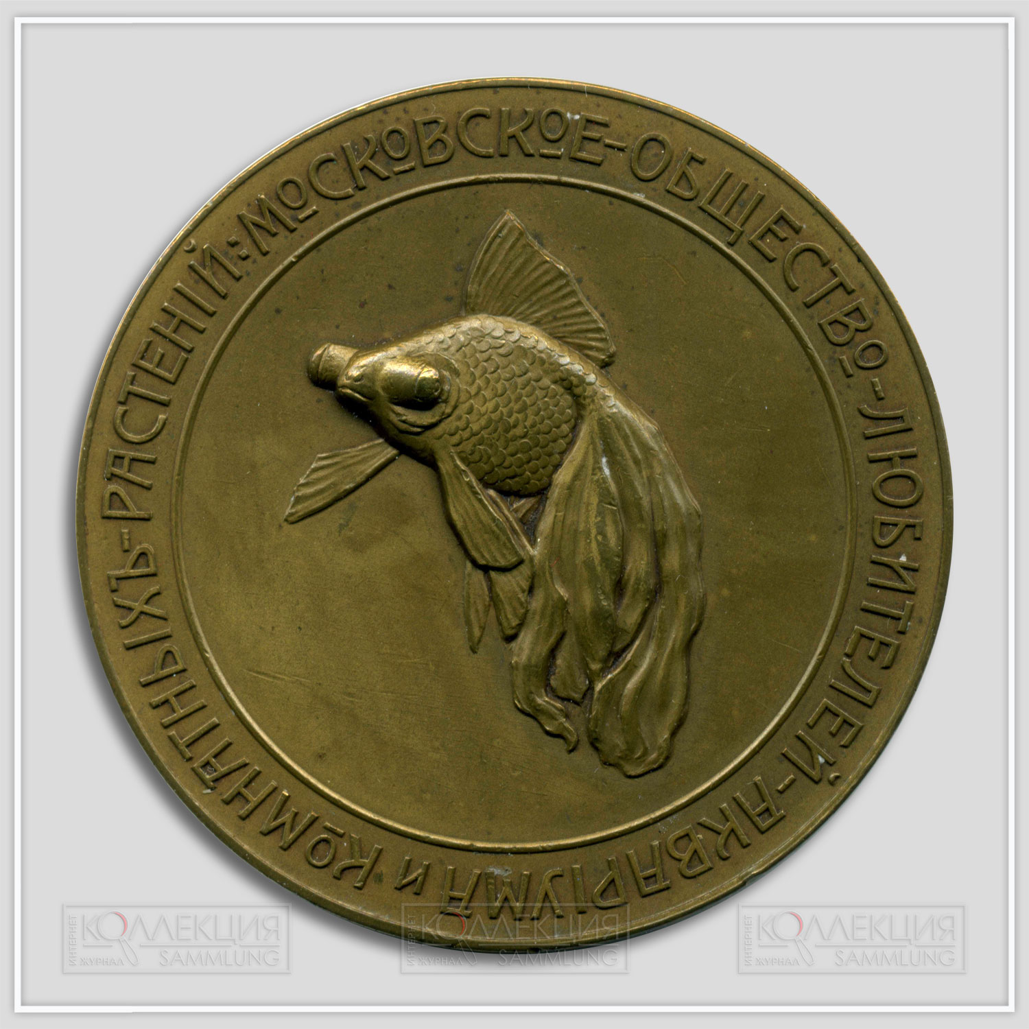 Московское общество любителей аквариума и комнатных растений