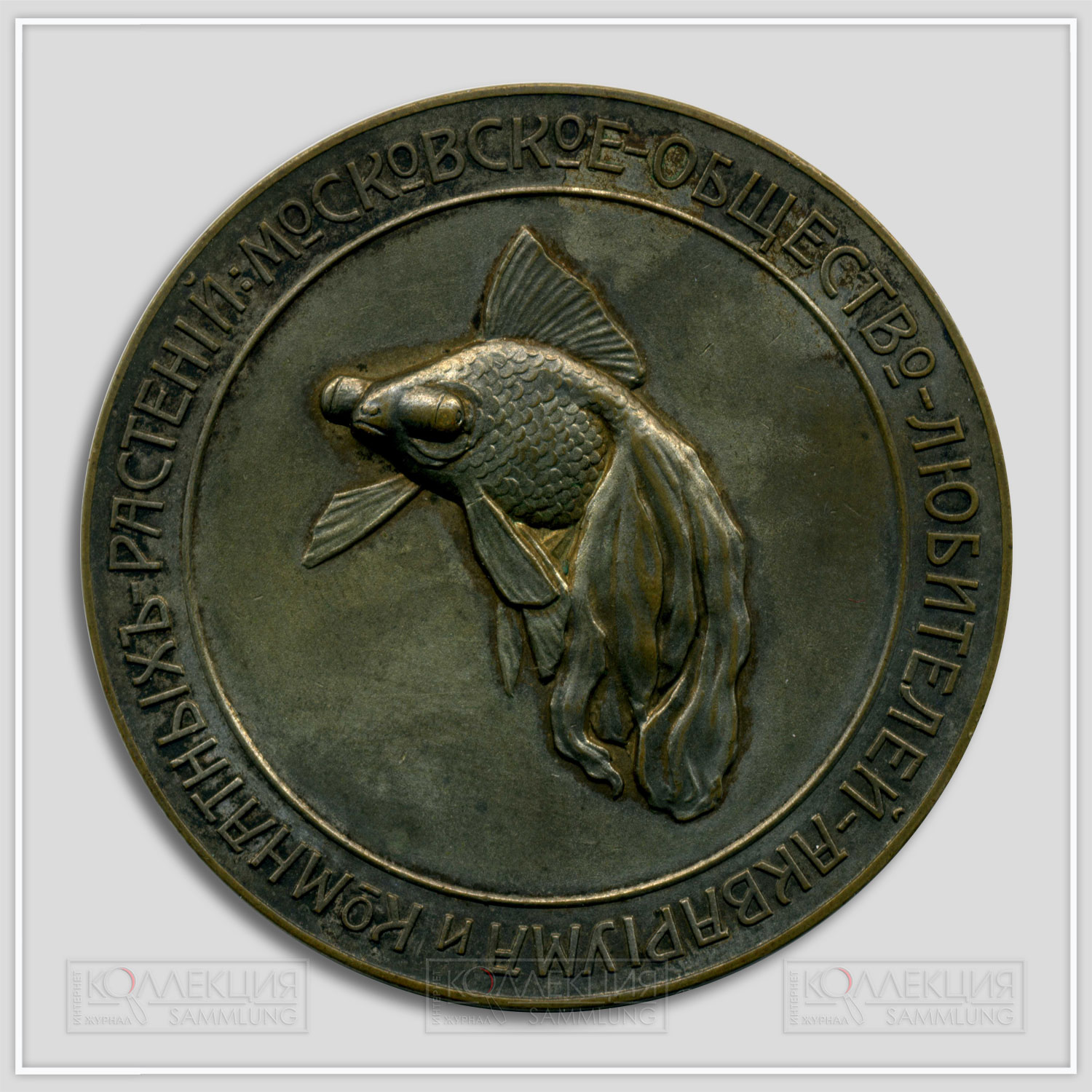 Московское общество любителей аквариума и комнатных растений